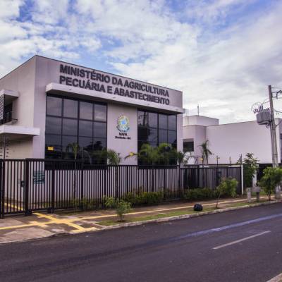 Portfólio
